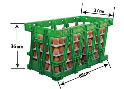 EGG SHIPPING BOXES & CRATES