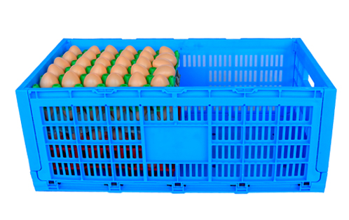 3363 EGG Collapsible & Folding Baskets